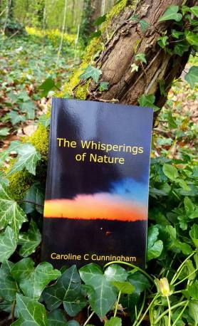 The whisperings of Nature